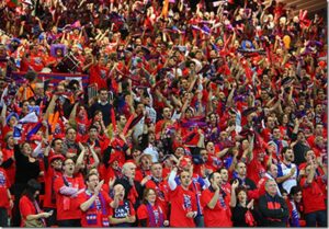 Recuerdos de la Copa 2010